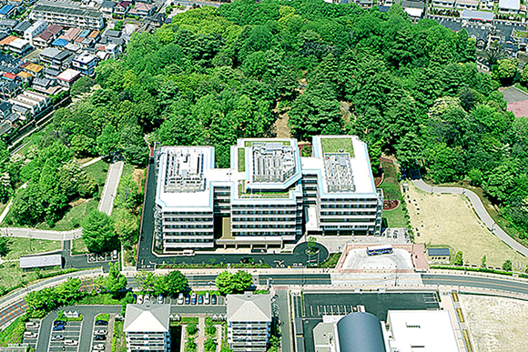 江古田の森公園