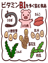 13.png