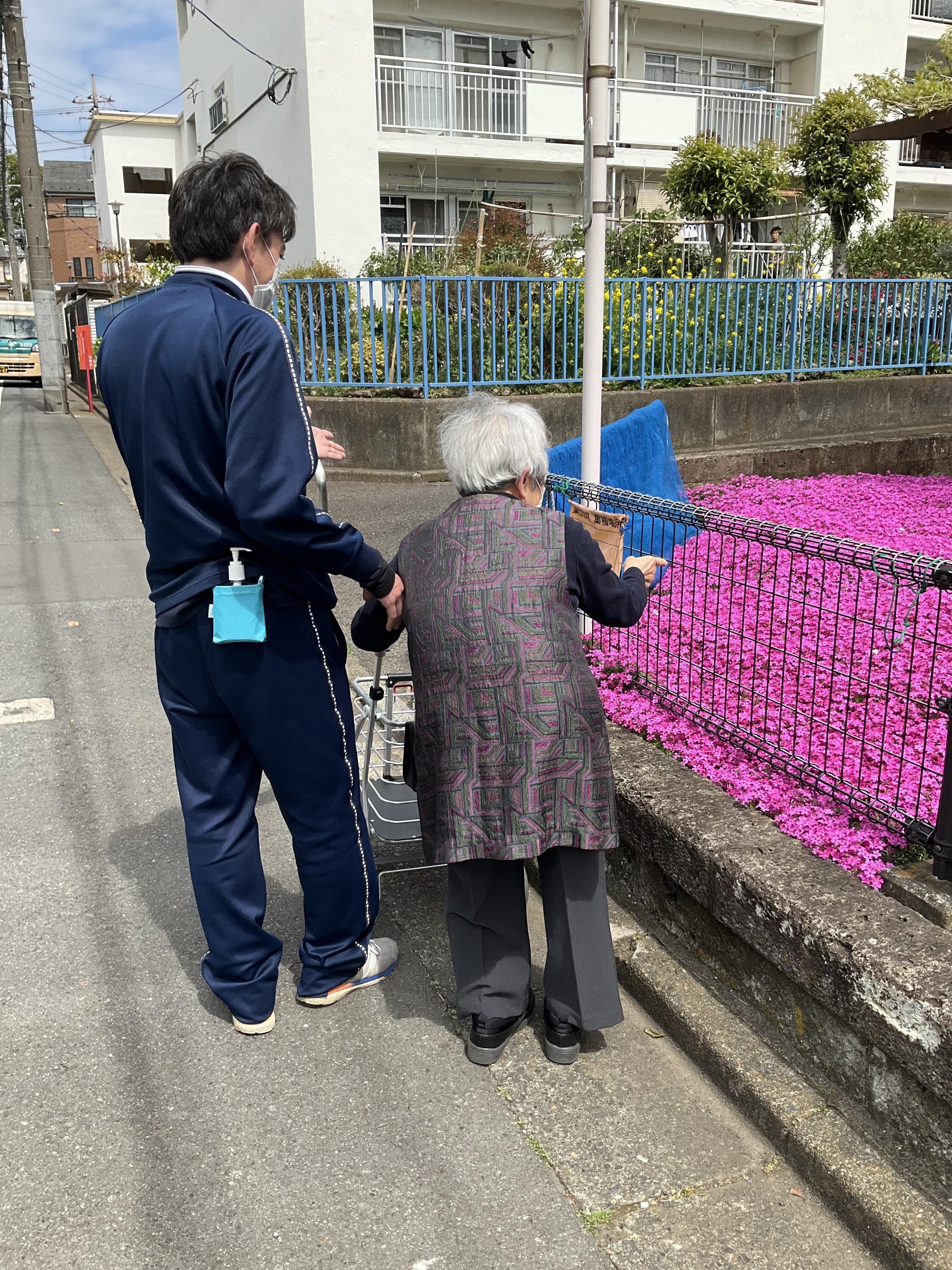 ゆずりは　写真.JPG