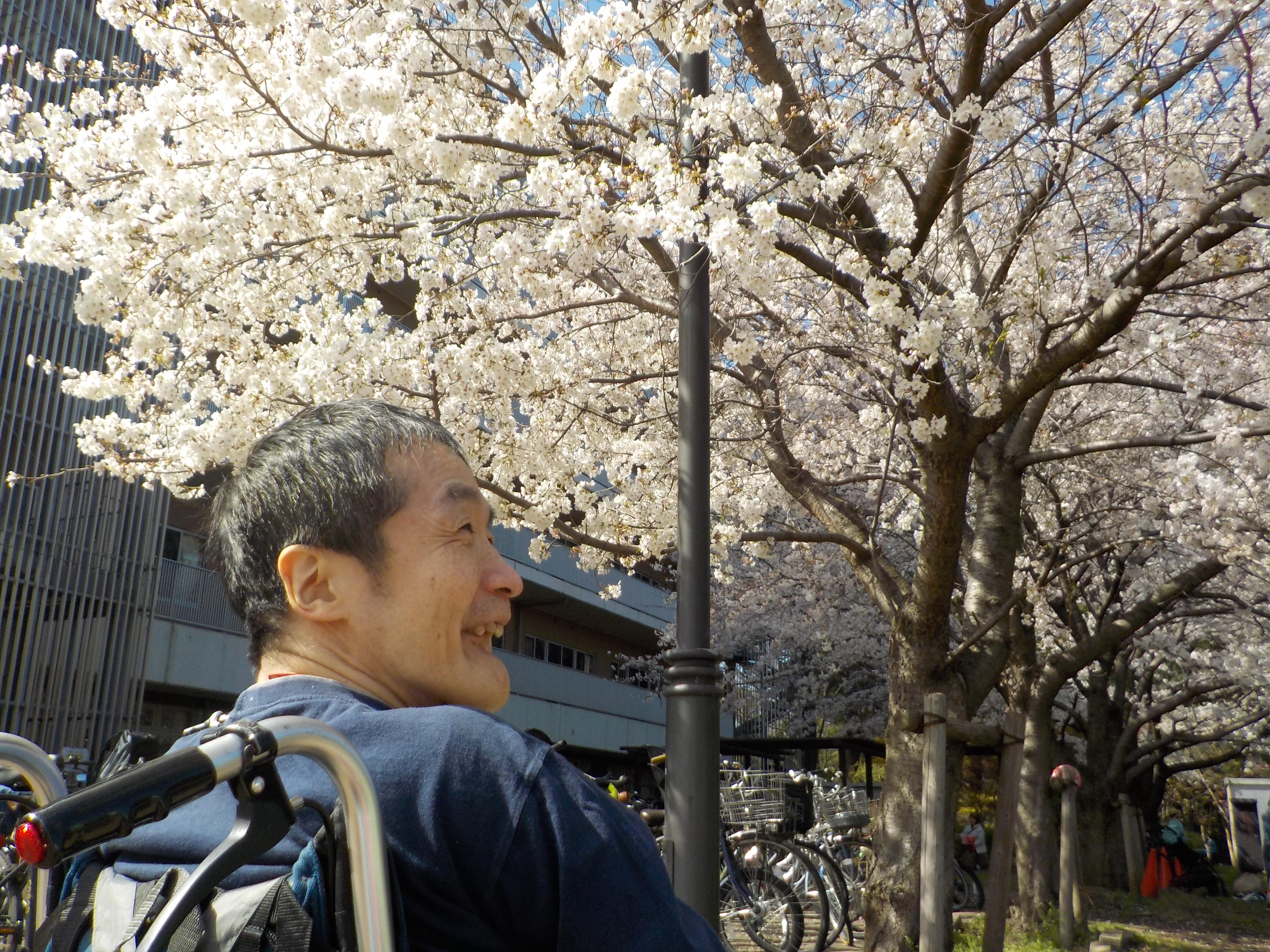 障害写真.JPG