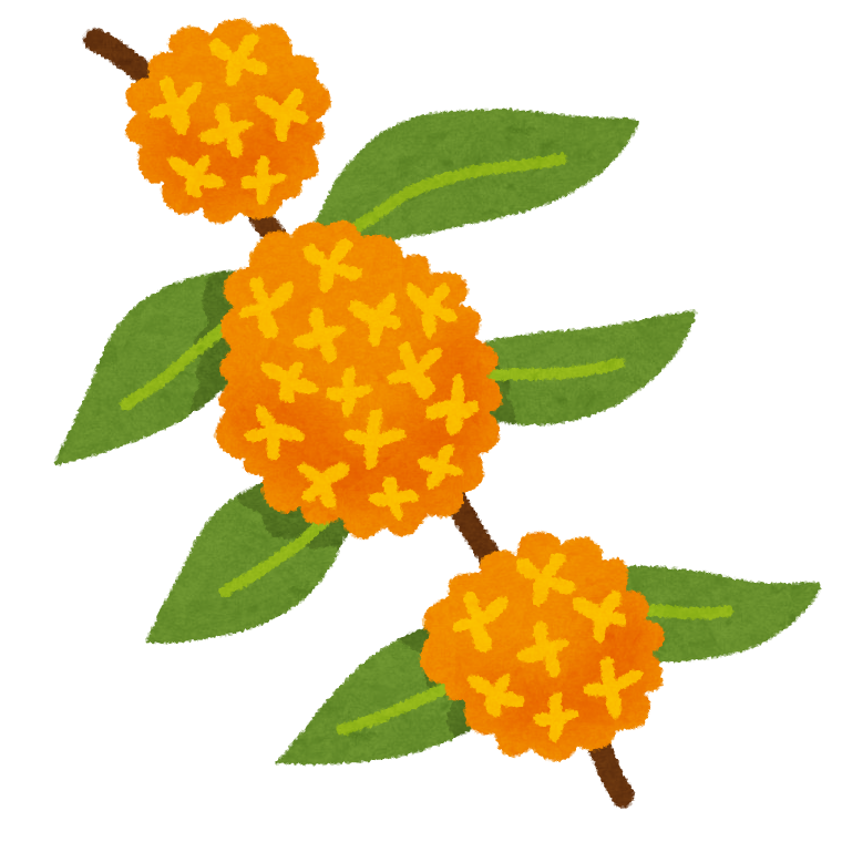flower_kinmokusei.png