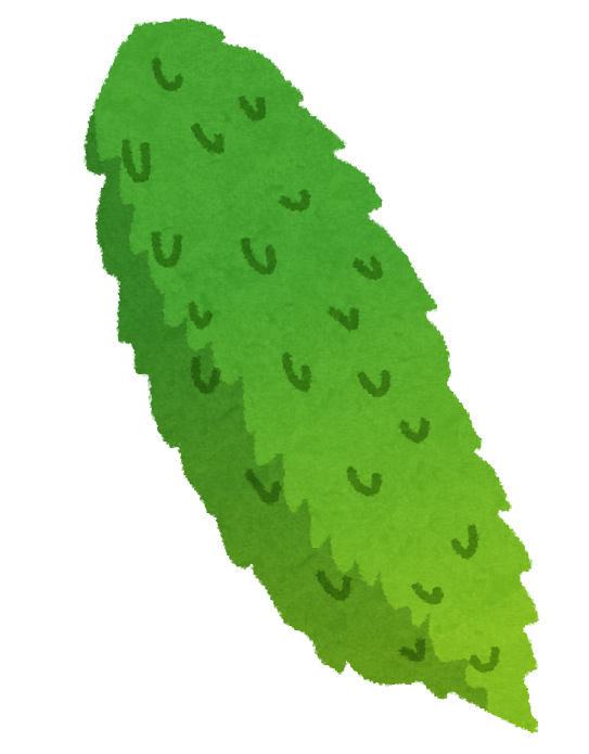 goya_bittergourd.png