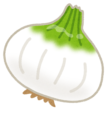 vegetable_shintamanegi.png