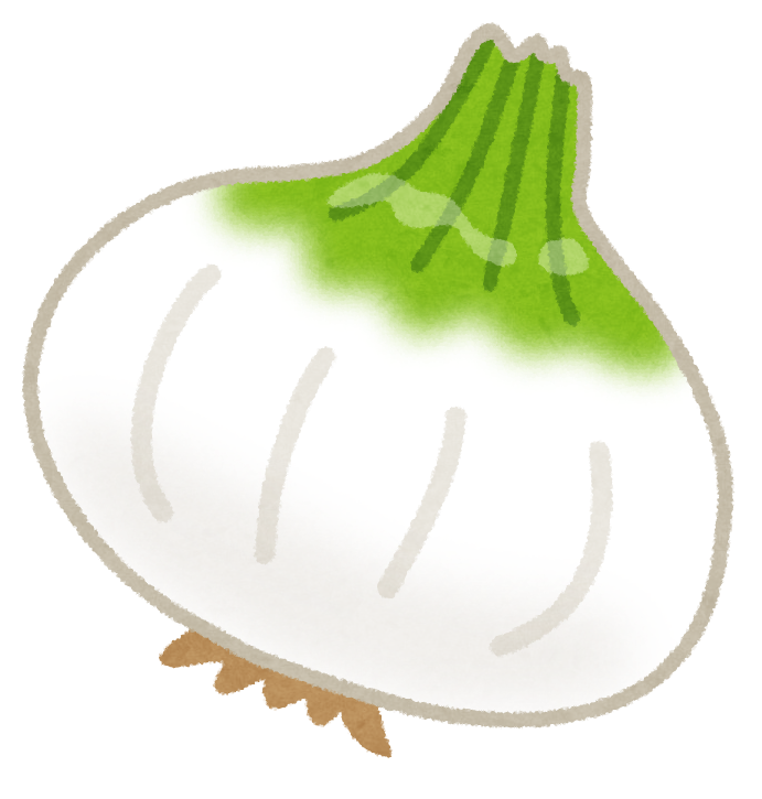 vegetable_shintamanegi.png