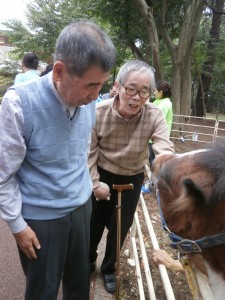 江古田の森にポニーがやってきた！？　写真３