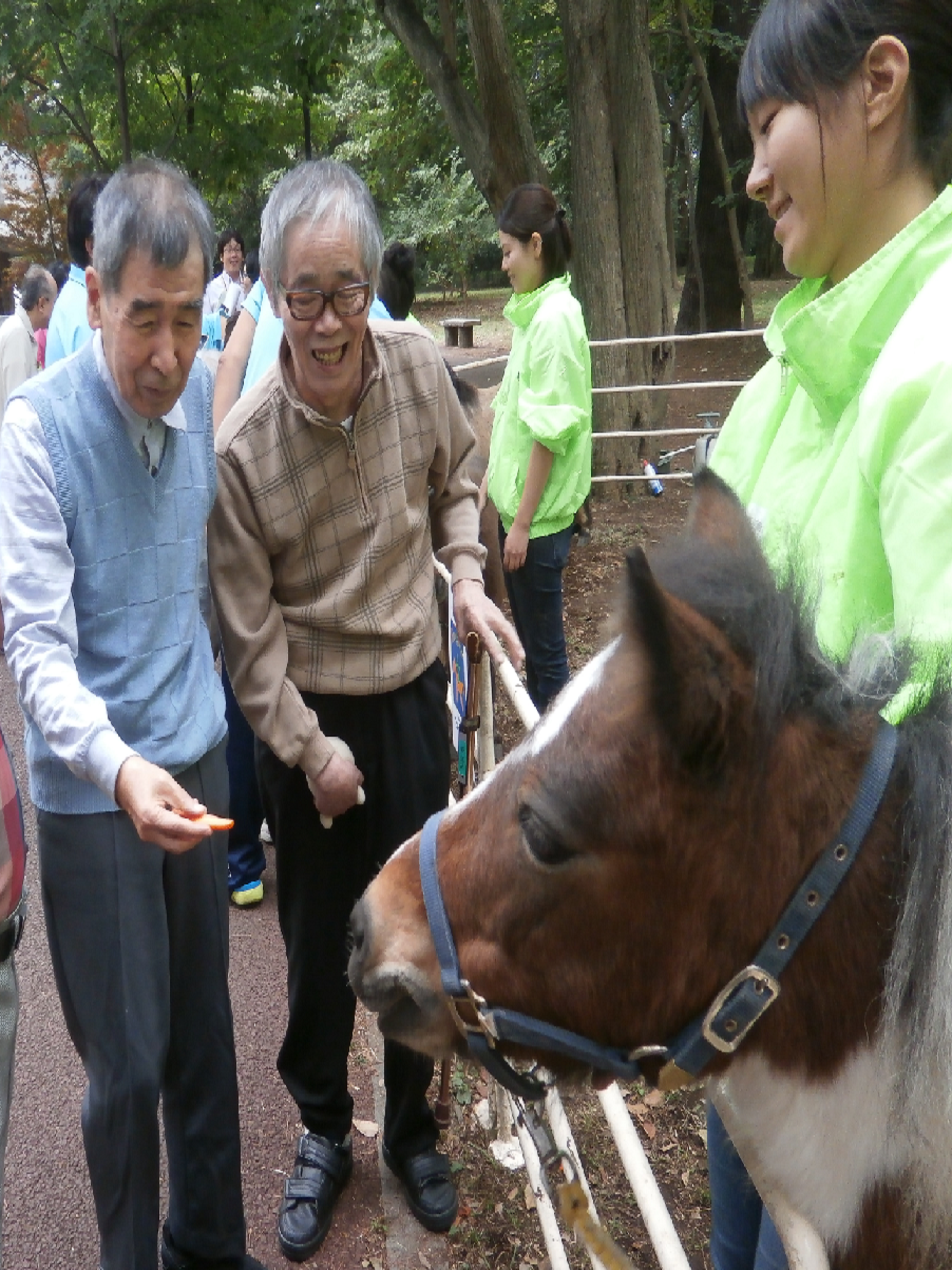 江古田の森にポニーがやってきた！？　写真１