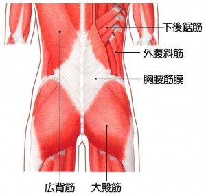 無題②