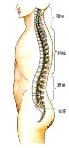 無題④