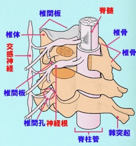 無題⑤