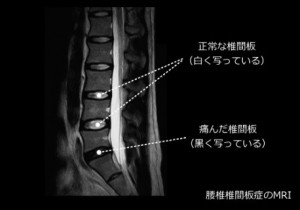 無題⑧